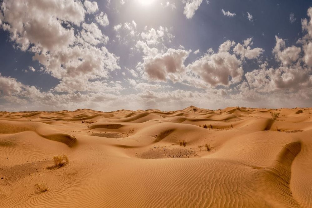 All About the Arabian Desert: Geography, Climate and More