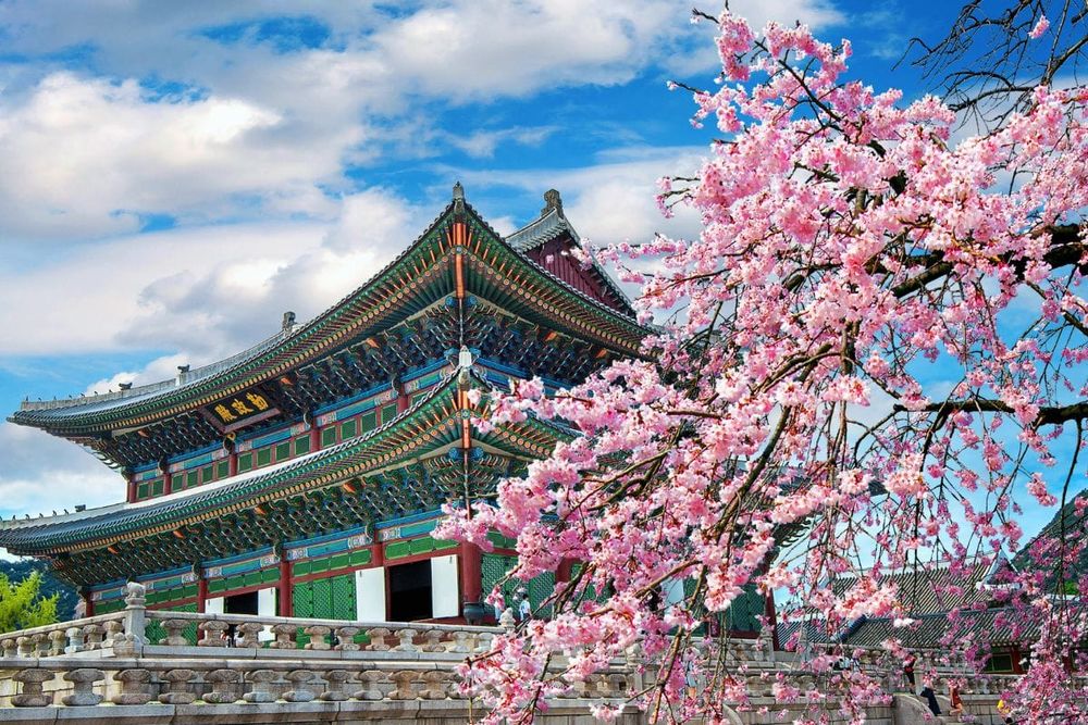 UAE: How to Obtain a Tourist Visa for South Korea