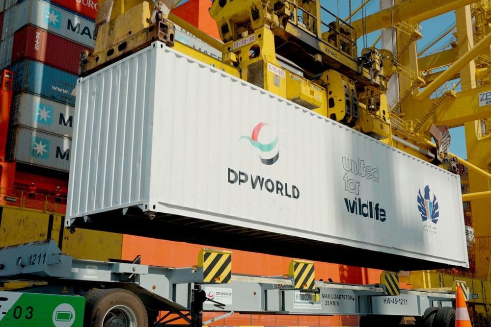 DP World Secures SBTi Validation for Ambitious Carbon Reduction Goals