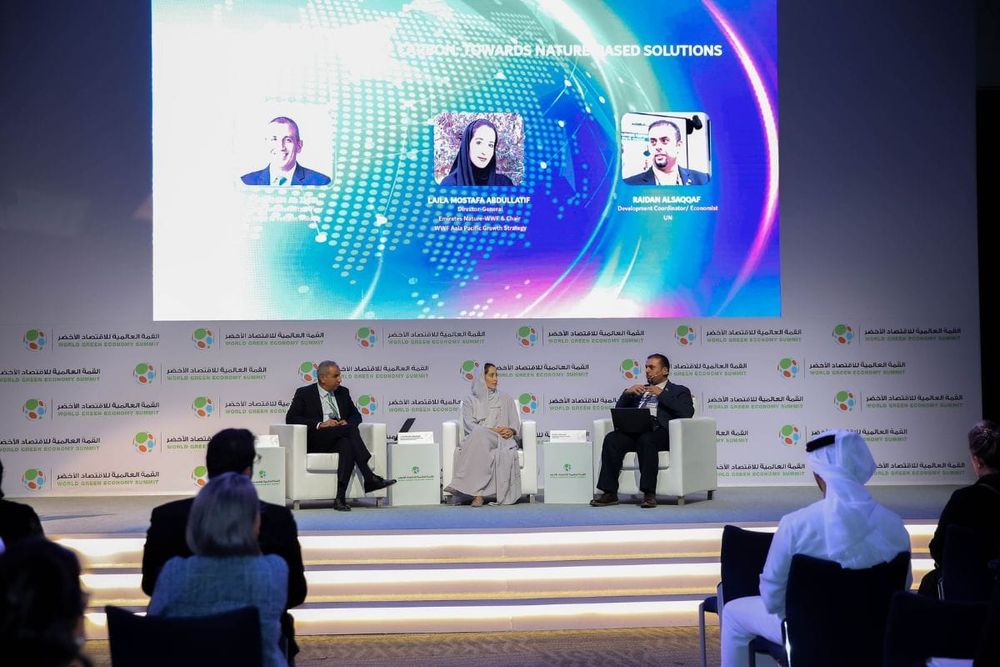 World Green Economy Summit Highlights Climate Finance as Key Theme