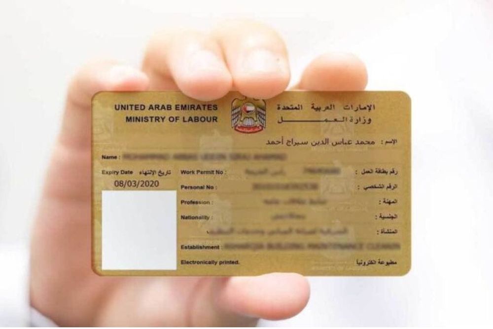 UAE: How to Access Your Labour Card Details Online and Obtain a Physical Copy