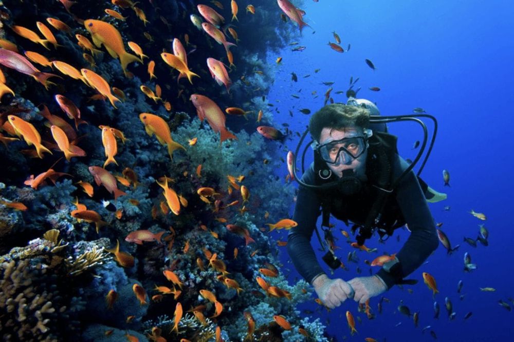 Beneath the Waves: Top Scuba Diving Centers in Dubai