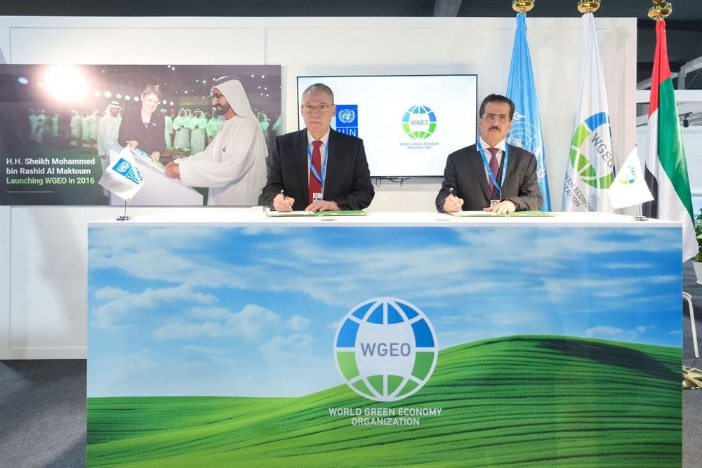 WGEO and UNDP Join Forces at COP29 to Promote a Green Economy