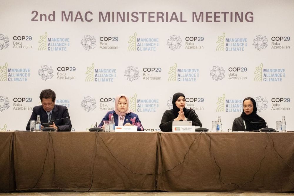 UAE Unveils MAC Strategy 2031 at COP29 to Boost Global Mangrove Conservation