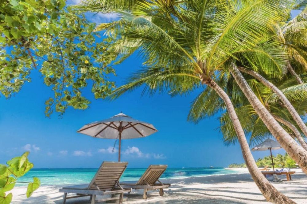 UAE: Up to 60% Off on Travel Deals for National Day Long Weekend