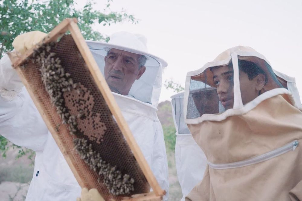Dubai Municipality Launches Ninth Hatta Honey Festival
