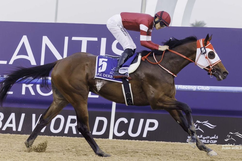 29th Dubai World Cup: The World's Best Horses to Compete at Meydan