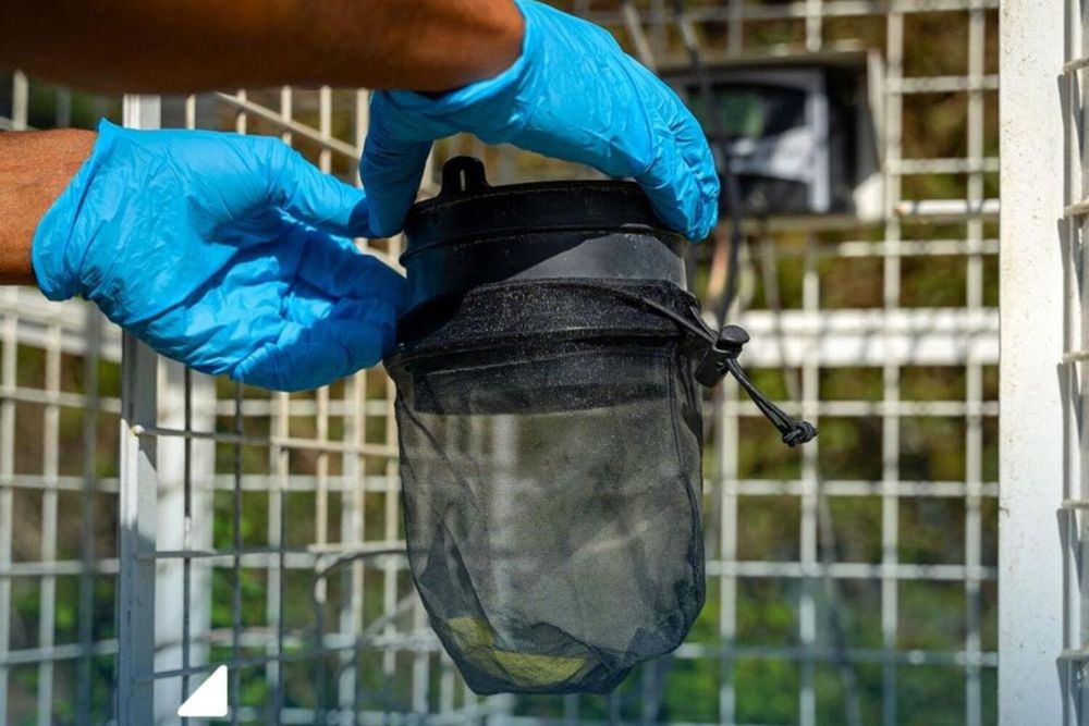 Dubai Installs Over 200 Smart Mosquito Traps to Enhance Public Health
