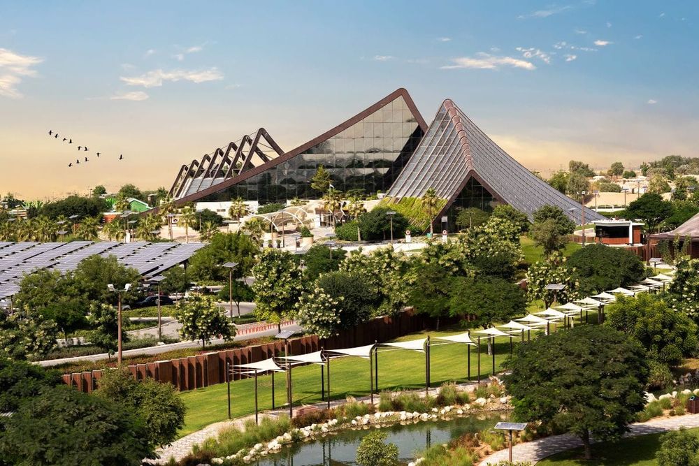 Dubai Safari Park Sees Record Growth with 67% Increase in Ticket Sales