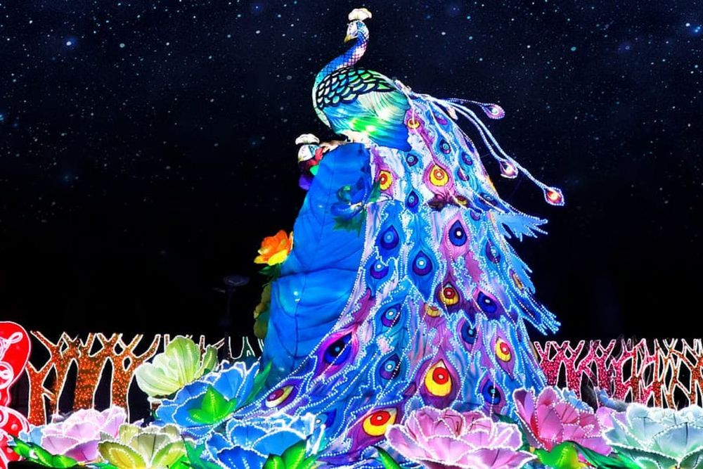 Dubai Garden Glow Concludes 10-Season Run, Plans Reopening at New Location with Revamped Concept