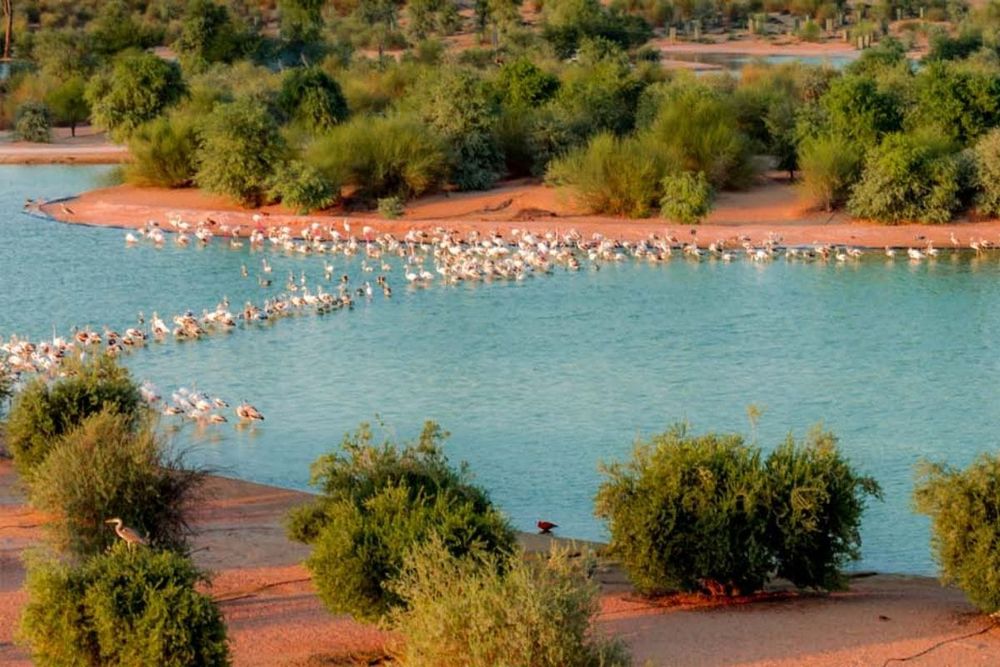 GCC Nature Reserves Expand by 6.6% in 2023