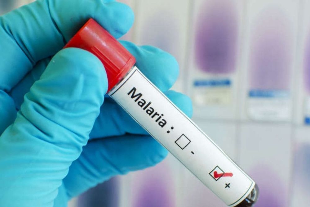 UAE and WHO Collaborate to Launch Database to Combat Malaria in 18 Countries