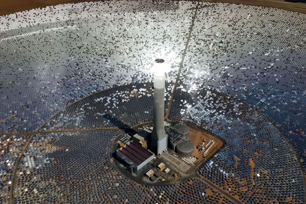 UAE Advances Climate Leadership With Major Clean Energy and Conservation Projects in 2025