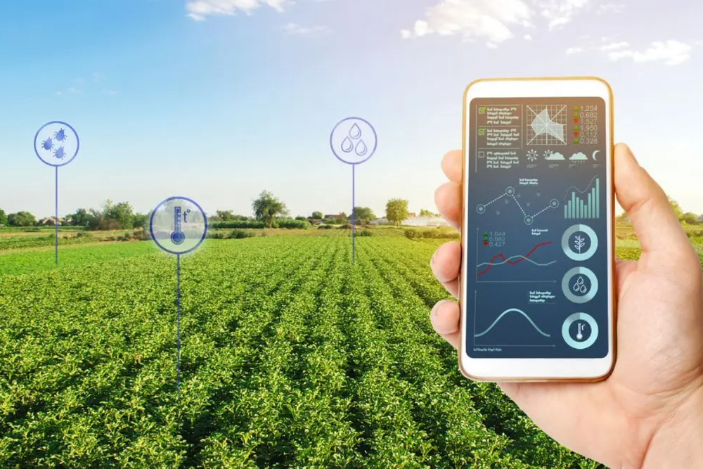 How to Start an Agribusiness in Dubai: A 2026 Investor’s Roadmap