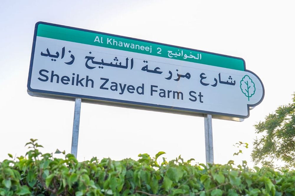 RTA Renames Al Faghi Street as Sheikh Zayed Farm Street to Honour UAE Union History