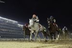 Dubai World Cup Draws Global Field to Meydan Racecourse