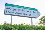 RTA Renames Al Faghi Street as Sheikh Zayed Farm Street to Honour UAE Union History