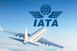 Global SAF Production Set to Cover Less Than 1% of Aviation Fuel Needs in 2026