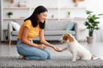 Pet Boarding vs. Professional Home Sitters: A Practical Decision Guide