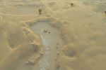 UAE Archaeological Discoveries Reveal New Insights into Ancient Human History