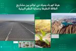 DEWA Advances Clean Energy Projects While Strengthening Environmental Protection