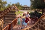 Dubai Safari Park Opens Its Eighth Season on October 12