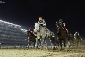 Dubai World Cup Draws Global Field to Meydan Racecourse