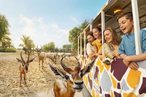 Dubai Safari Park Joins Global Zoo Body WAZA