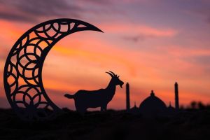 GCC E-commerce Set to Grow 10% for Eid al-Adha 2026