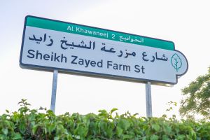 RTA Renames Al Faghi Street as Sheikh Zayed Farm Street to Honour UAE Union History