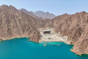 DEWA Marks World Environment Day With Showcase of Clean Energy Milestones