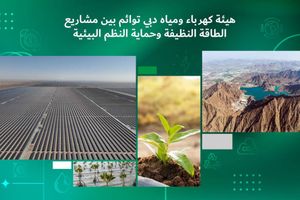 DEWA Advances Clean Energy Projects While Strengthening Environmental Protection