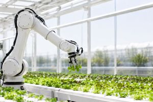 Farming Without Fields: Inside Dubai’s High-Tech Food Revolution