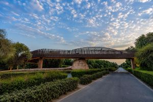 Dubai Municipality Opens New Mountain Biking and Hiking Bridge at Mushrif National Park