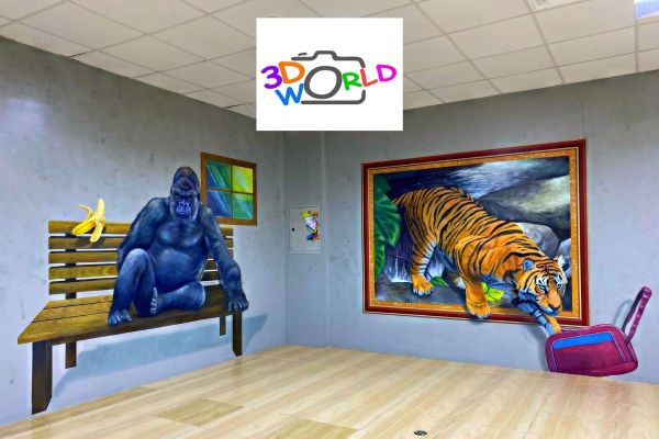 Raman Ticku, CEO of the world's largest 3D selfie museum shares details about the unique venue