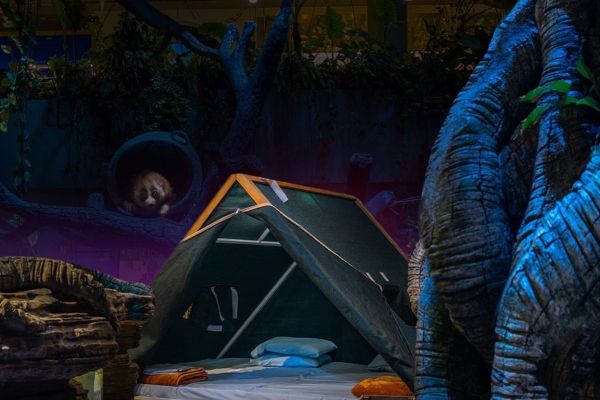 Dubai's only indoor rainforest is offering guests a chance to spend a night in the tropical bio-dome