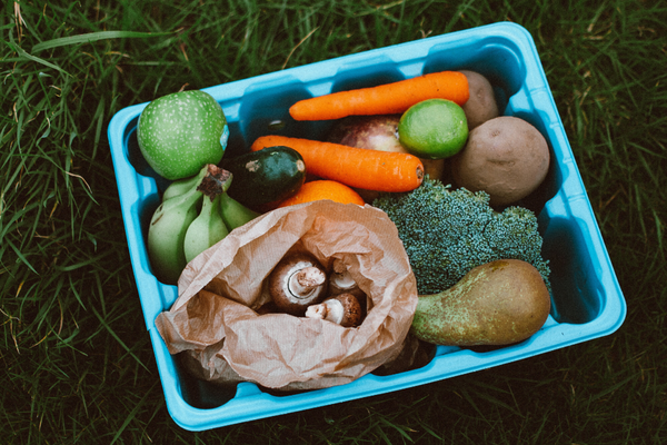 Best Healthy Food Delivery Services