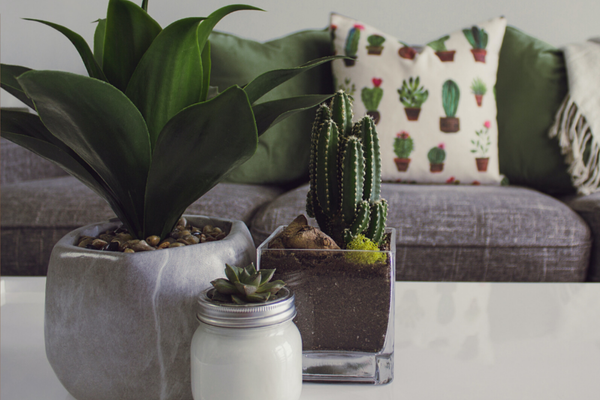 Get The Outdoor Indoors