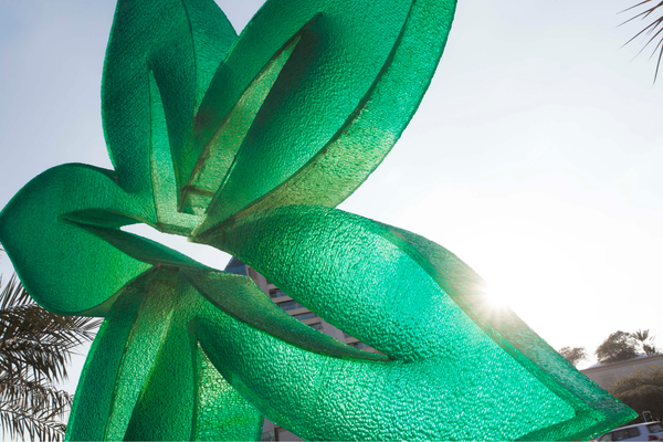 DHCA Excellence Awards 2020 recognize top Emirati contributors to healthcare