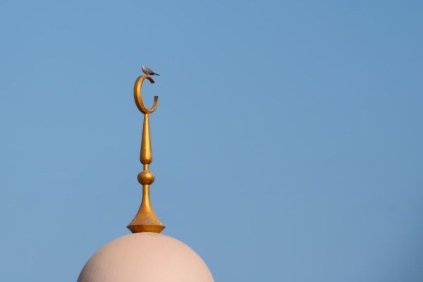 October 29 (Coming Thursday) confirmed as a public sector holiday for Prophet's birthday