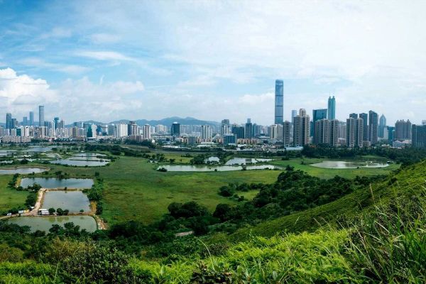 Expo 2020 Dubai to host Urban and Rural Development Week