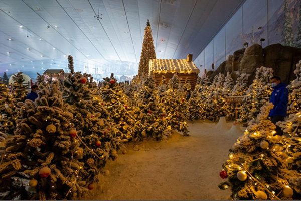 Ski Dubai and VOX Cinemas to launch the Middle East's first Cinema in the Snow