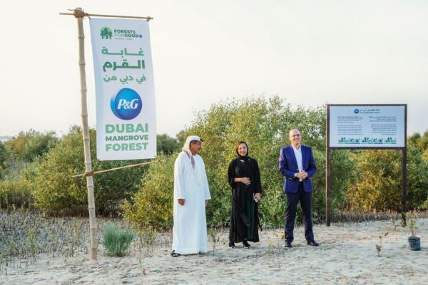 Emirates Marine Environmental Group, Procter & Gamble launch P&G Dubai Mangrove Forest