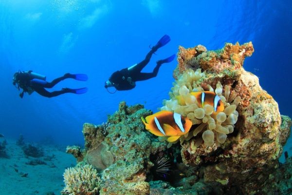 flydubai adds Sharm El Sheikh to its network