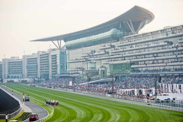 Dubai Racing Club to organise Middle East’s first ‘Breeze-Up Sale’