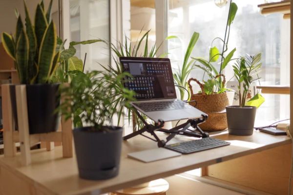 How company leaders can empower staff while working remotely