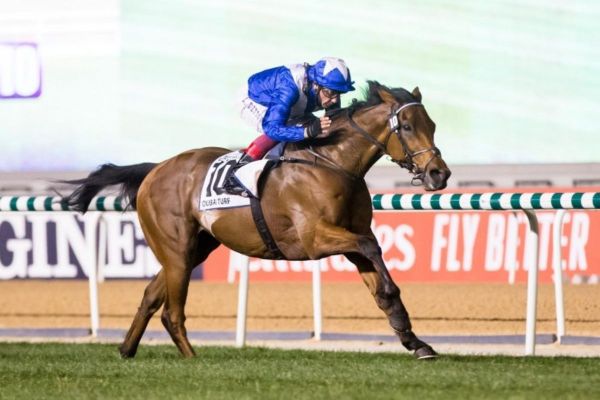 Dubai Racing Club to honour frontline warriors at its next race meeting