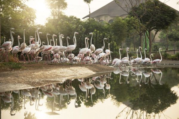 Dubai Safari Park to organise winter camp to enhance children's awareness of nature & animals