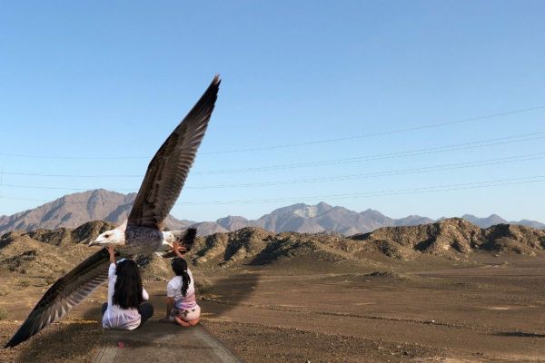 Dubai Culture, MORROW collective partner to celebrate the UAE with 1st ever NFT exhibition