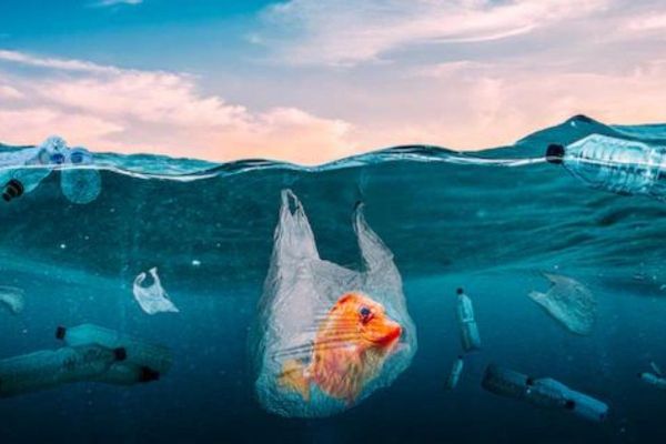 UAE Press: Tackling Plastic Waste to Save the World